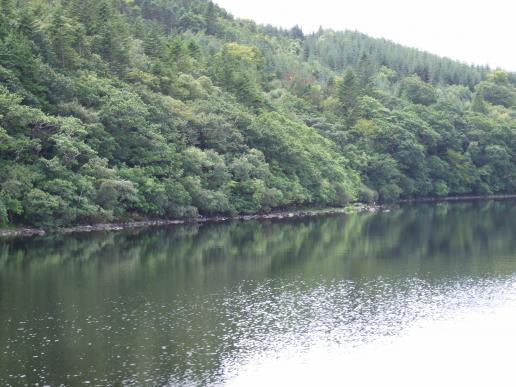 Lough Gill